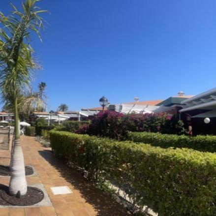Bungalow Verdemar Maspalomas Maspalomas  Ngoại thất bức ảnh